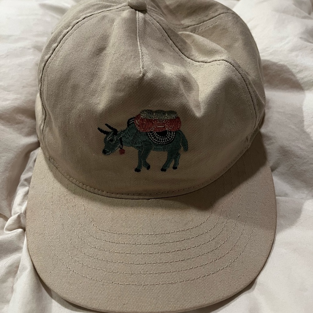 Mountain hardware hat